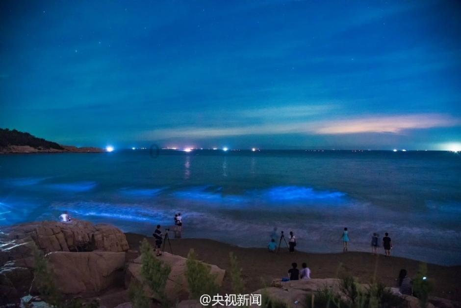 救援花栗鼠