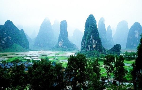 拯救精灵的土地10