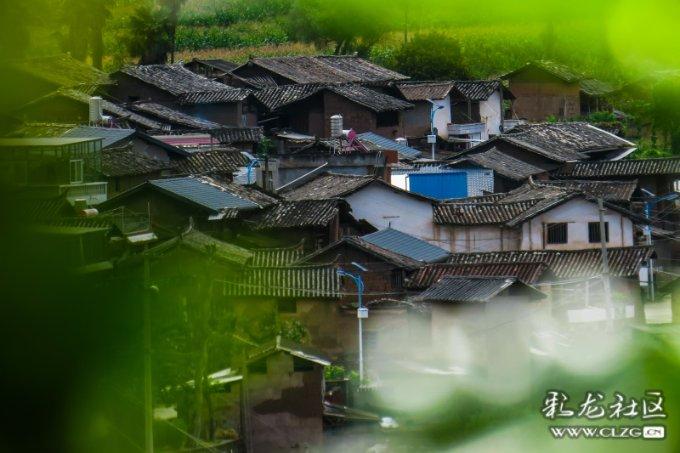 麒麟镇选树典范引领乡风文明好风尚