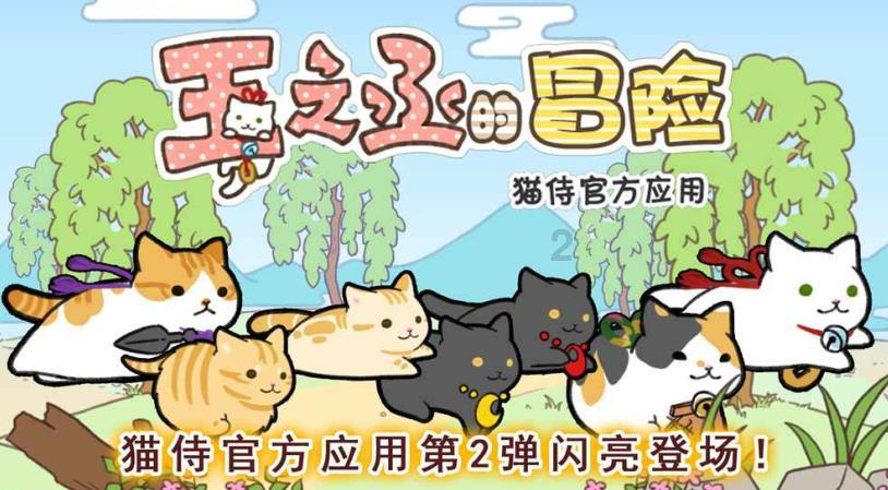 五彩鹦鹉救援