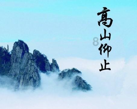 飞天小猪仔